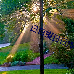 日日摸日日操