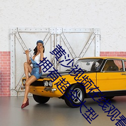 黃沙視頻在線觀看www免費直播永久免費版:一款擁有超全大型