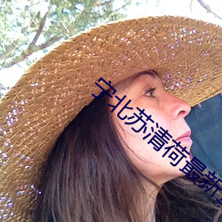 宁北(běi)苏清荷最新章节免费(fèi)阅读