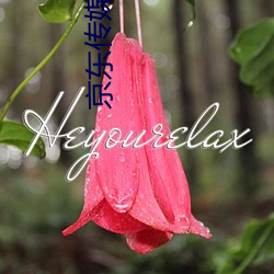 京(京)东传媒入(入)口(口)