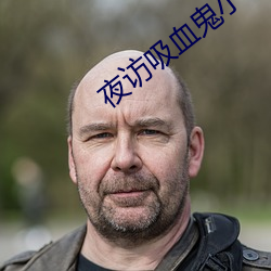 夜訪吸血鬼小說安妮