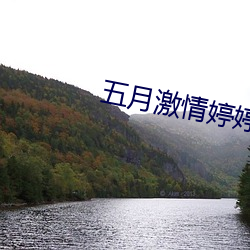 五月激情婷婷丁香綜合基地