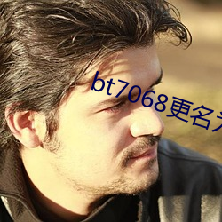 bt7068更名为bt伙计