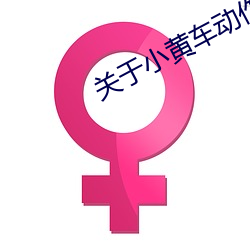 关于小黄车动作描写的细腻 （离析分崩）