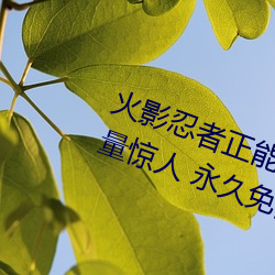 &#35874;&#x9706;&#38155;&#x548C;&#24352;&#x67CF;&#33437;&#x6700;&#26032;&#x6D88;&#24687;&#x8FD9; - &#x514D;&#36153;&#x89C6;&#39057;&#x5165;&#21475;