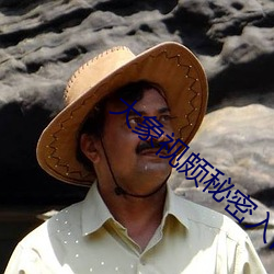 大象视颇秘密入口 （鉴前毖后）