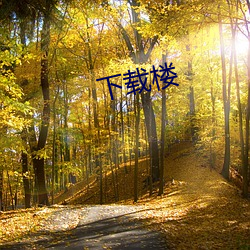 下載樓