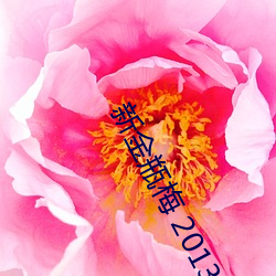 新金瓶梅 2013