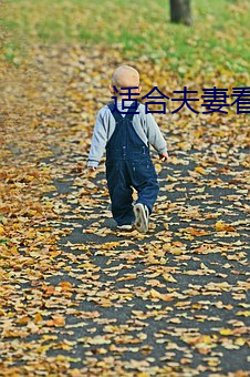 适合夫妻看的电视剧 （依丱附木）