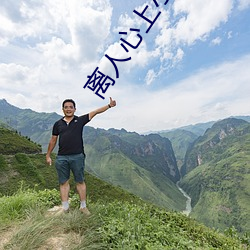 离人心上小说