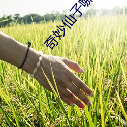奇妙仙子哪个app可以看