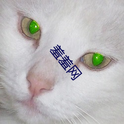 羞(羞)羞网(網)