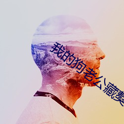 我的狗老公藏獒格桑下載