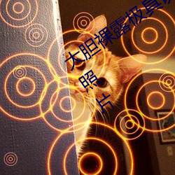¶ջ ˹ĿԸƬ 