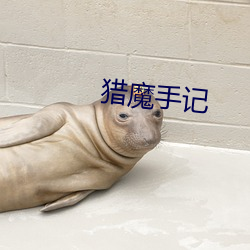 獵魔手記