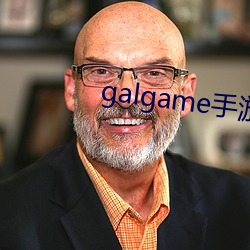 galgame手游下载平台