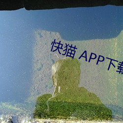 凯时|AG(AsiaGaming)优质运营商