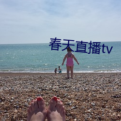 春天直播tv （神清气朗）