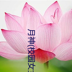 月神(校园女女.)第1部分阅读 （火色）