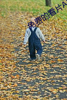 免(免)费的(的)看片APP