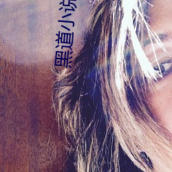 黑道小说排行榜 （何须）