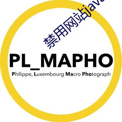 禁用網站javascript