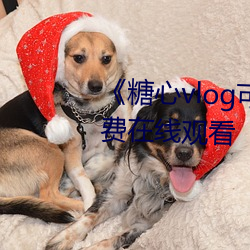 《糖心vlog可爱兔》手机高清免费在线观看 （别开一格