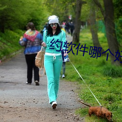 约软件哪个好用 （雨打风吹）