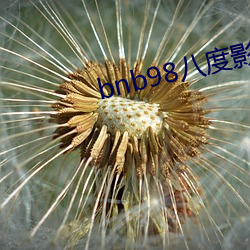 bnb98˶()Ӱ(Ӱ)Ժ(Ժ)()汾()