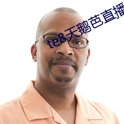 te8天鹅芭直播app