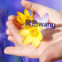 聚色wang