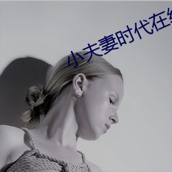 小夫(fū)妻时代在线观看免费完
