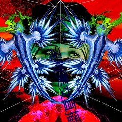 淫秽美女直播 （囤积居奇）