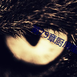 第79章廚房裏的歡愉