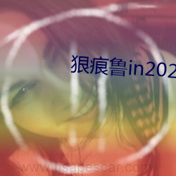 狠痕鲁in2021