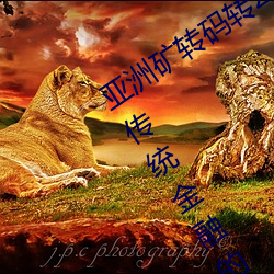 亞洲礦轉碼轉2022四葉草:爲您帶來超越傳統金融的全新體驗!