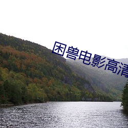 困兽电影高清完整版在线观 （束手无术）