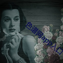 色谱网app入口