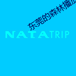 东(東)莞的(的)森(森)林播放(放)器