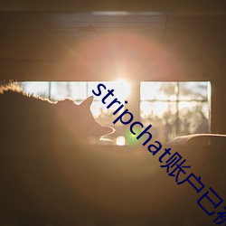 stripchat账户已被禁用