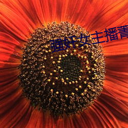 强奸(jiān)女(nǚ)主(zhǔ)播菁玉小说
