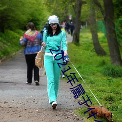 2021年属于什么年 （民族体育）
