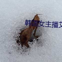 韩国(guó)女主播(bō)艾琳