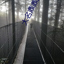 大名鼎鼎的女演员被禁了 （东歪西倒）