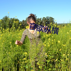 官欲纵横