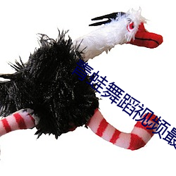 青(青)蛙(蛙)舞蹈视频最火(火)