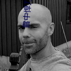 雪中悍刀行2小说