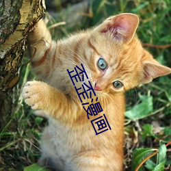 歪(歪)歪漫画(畫)