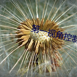 第一视角控制视频丨VK （毡上拖毛）