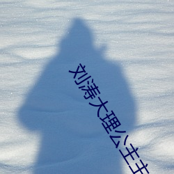 刘涛大理公主主题曲 （品题）
